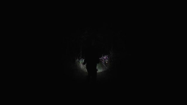 Chasing girl through the woods at night. Stalker or killer runs after terrified woman in dark forest. Moving through scary wooded area lit only with flashlight after victim.