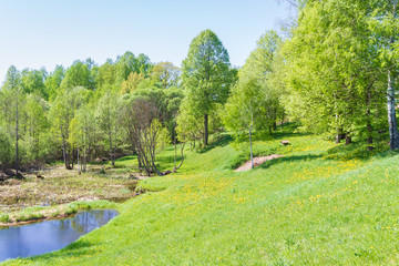 Nature in spring in a village by the lake