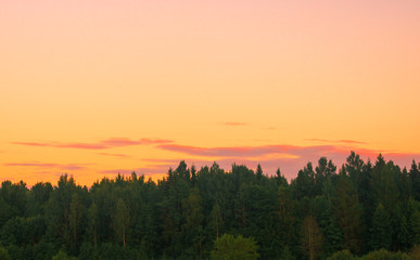 Naklejka na ściany i meble forest sunset, Braslaw