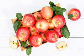 Naklejka na ściany i meble Äpfel Apfel Frucht Früchte Obst von oben Herbst Kiste Blätter