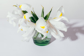 Top view of white iris flowers on table on plain light background
