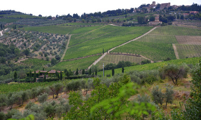 Liebliche Landschaft des Chianti mit Weinberg und Blick auf Panzano