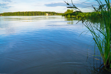 Summer evening landscape on the Lake Biserovo, Moscow region, Russia.