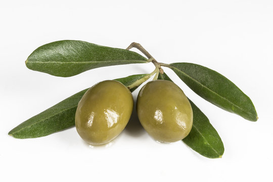 olive branch and green olives on white background