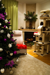 living room decorated to celebrate Christmas and New Year. Christmas tree with white and christmas handmade toys. Sleeping  cat, ocicat pedigree. Red christmas blacket and red Santa Claus hat.