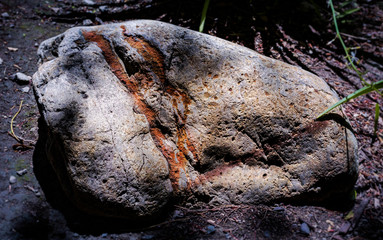 Fossil Rock