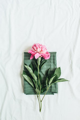 Pink peony flower on blanket. Flat lay, top view minimal background.