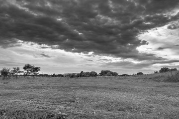Monochrome image. Gloomy sky over the flowered Bogolyubovo meadow, Vladimir region, Russia.