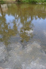 335 AFTER HURRICANE MARIA FOR PR.