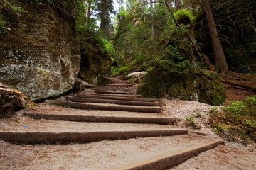 stairs in a green park