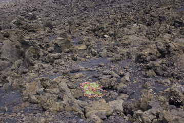 Etna volcano, Italy