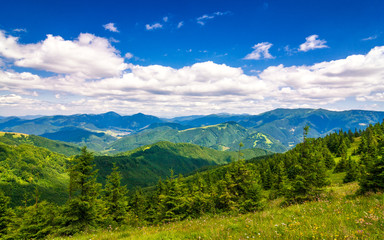 Fototapeta premium Spring landscape with grassy meadows and the mountain peaks, blue sky with clouds in the background. The Donovaly area in Velka Fatra National Park, Slovakia, Europe.