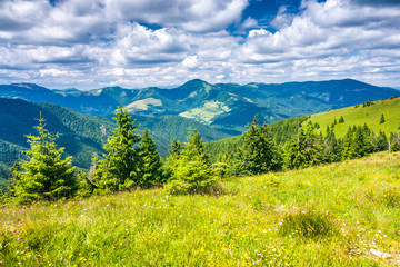 Fototapeta premium Spring landscape with grassy meadows and the mountain peaks, blue sky with clouds in the background. The Donovaly area in Velka Fatra National Park, Slovakia, Europe.
