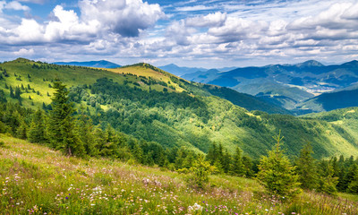 Naklejka premium Spring landscape with grassy meadows and the mountain peaks, blue sky with clouds in the background. The Donovaly area in Velka Fatra National Park, Slovakia, Europe.