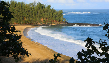 Lonely surfer on Lumahai Beach - Kauai, Hawaii
