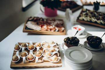 delicious table with different meat at wedding reception in restaurant. meatballs, ham,salami,sausage and prosciutto on plate, luxury catering