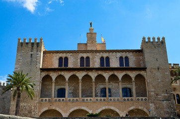 Naklejka premium Palma