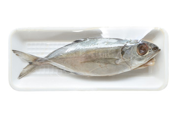 Fresh  fish in foam tray with plastic wrap isolated on white background.