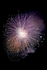 This Tamagawa fireworks display will be held in the riverbed of Tama River which flows between Tokyo and Kanagawa prefecture of Japan. The colorful fireworks are very beautiful.