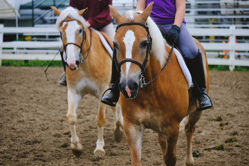 Obraz premium Two women riding horses through fair arena for English jumping show. Shows horse closeup as portrait.