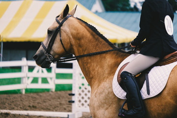 Girl riding English on horse in show arena.