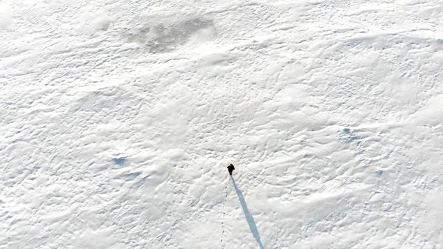 Aerial shot of lone man walking through snowy field in the middle of nowhere. Drone shot of ice tundra with wandering person lost in isolated cold environment. No hope of rescue in snowy disaster.