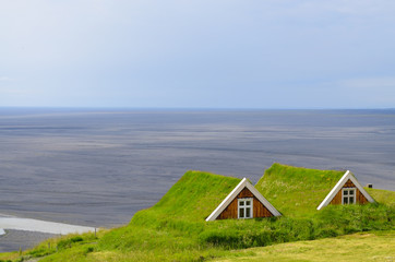 Skaftafell, islande, Sel