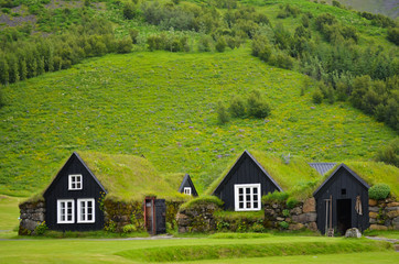 Skogar