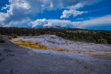 Fototapeta na wymiar Varied Hot Spring Thermal Colors - Mammoth Hot Springs is Yellowstone s only major thermal area located well outside the Caldera. The terraces change constantly sometimes noticeable within a day