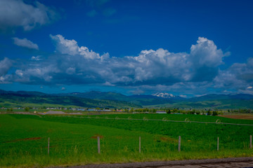 Beautiful outdoor view of lamar valley in Yellowstone National Park, Wyoming in summer with a mountain behind, partial covered with snow