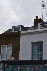 Cat chilling outside. Traditional English home. Whitstable town centre. Whitstable, Kent, UK, August, 2018