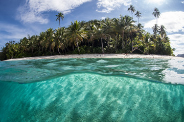 Tranquil Tropical Island in Raja Ampat © ead72