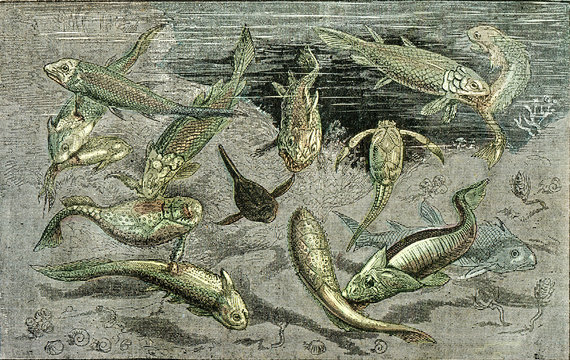 The struggle for existence in Devonian times, vintage engraving.