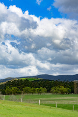 Yarra Valley vert