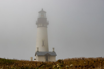 Misty Foggy Landscape at Yaquina Head with Cape Foulweather Lighthouse in Newport Oregon Pacific...