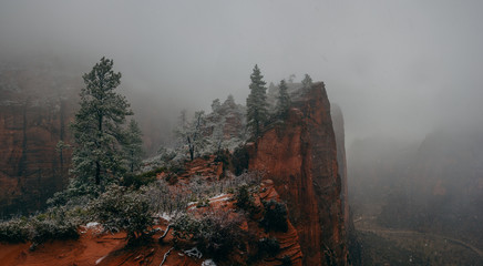 Blizzard on Angel's Landing