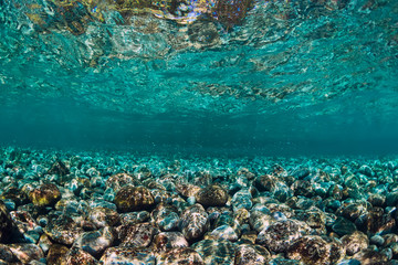 Naklejka na ściany i meble Underwater scene with copy space.