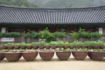 Daejeonsa Buddhist Temple
