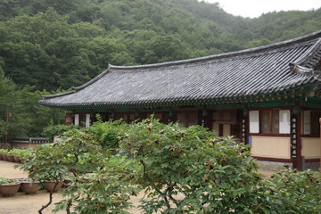 Fototapeta na wymiar Daejeonsa Buddhist Temple