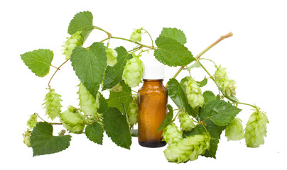Green hops - natural remedies.