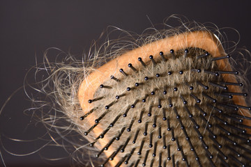 Hairbrush covered with blond hair