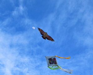 Kite and moon
