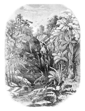 Waterfall in Moheli, vintage engraving.