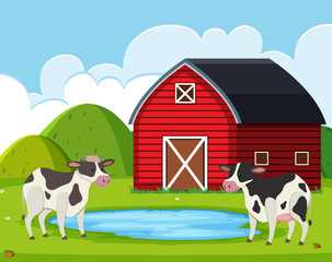 Cow at rural farm house