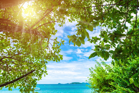green leaves background with tropical beach