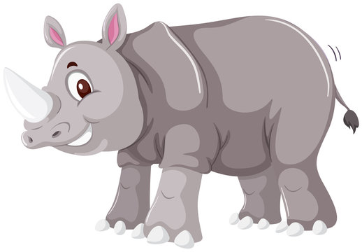 A rhinoceros on white background