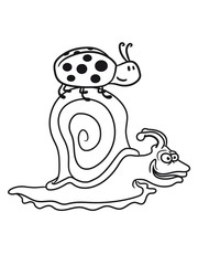 reiten transport marienkäfer punkte schnecke schleimig klein schneckenhaus kriechen comic cartoon clipart lustig