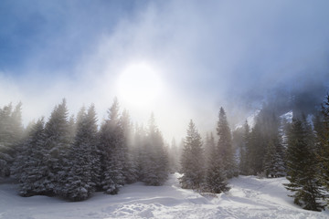 Beautiful alpine scenery on a bright winter day, with fresh snow and fir trees