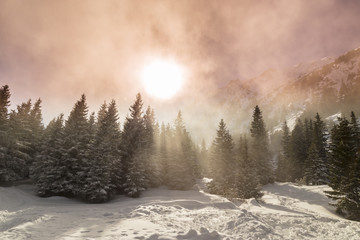Obraz na płótnie Canvas Beautiful alpine scenery on a bright winter day, with fresh snow and fir trees