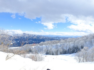 雪山からの眺め
